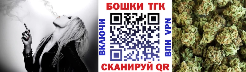 Конопля сатива  Кашин 